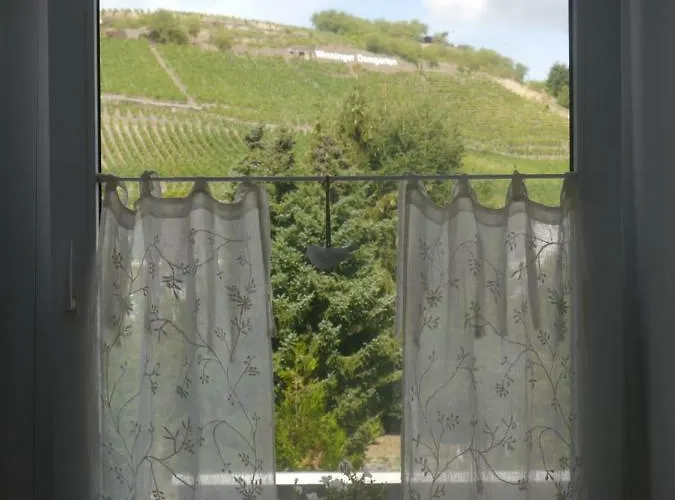 Apartament Altes Weingut Weinhaus Rebstock *